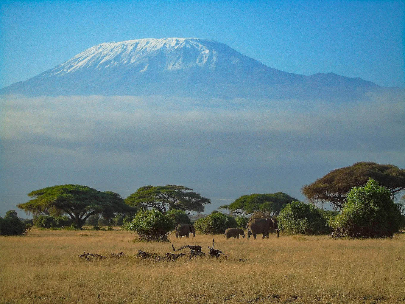 AMBOSELI